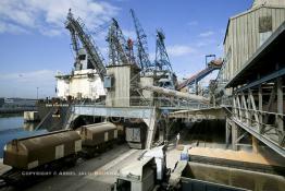 Image du Maroc Professionnelle de  Pour une distribution nationale le chargement du blé au quai des Doc Silos au port de Casablanca se fait grâce à des installations modernes versant le blé en grain directement dans le camion, cette opération automatique gérée par la centrale des doc silos. 31 Décembre 2003. (Photo / Abdeljalil Bounhar)

 